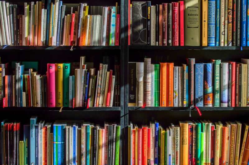 boutique-COURMES-min_books_bookstore_book_reading_shop_writer_sale_books_read-822866